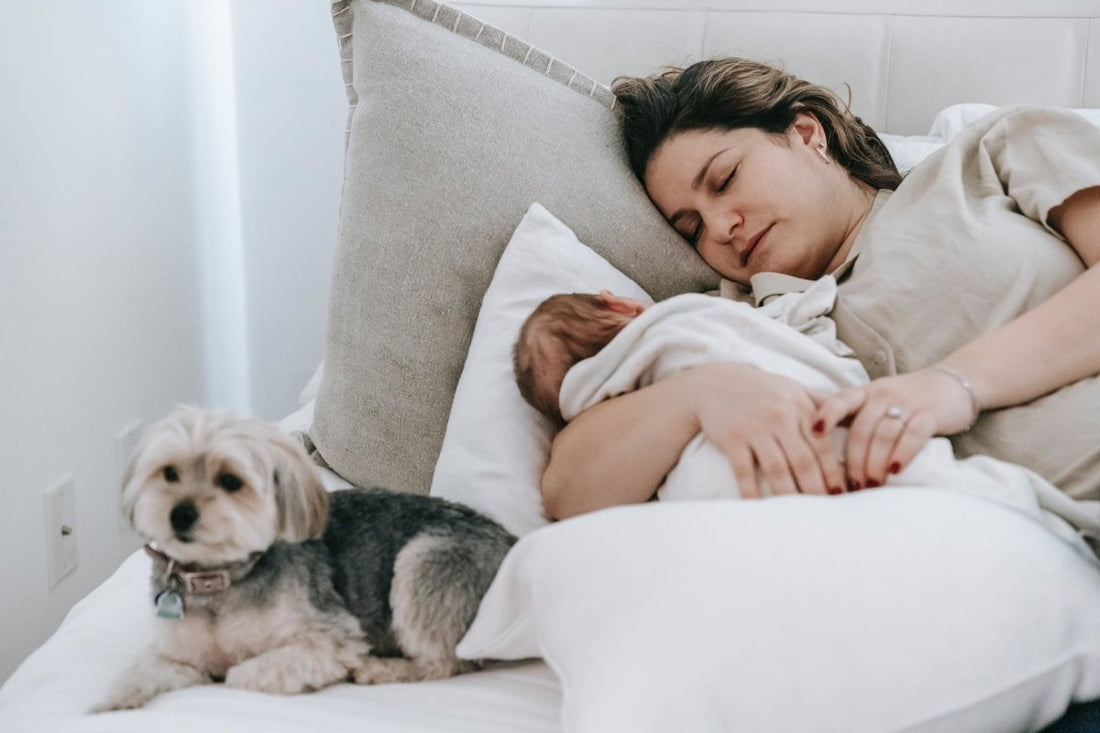 Establishing a Healthy Sleep Routine: Expert Tips for Restful Sleep - The Happy Parent Company